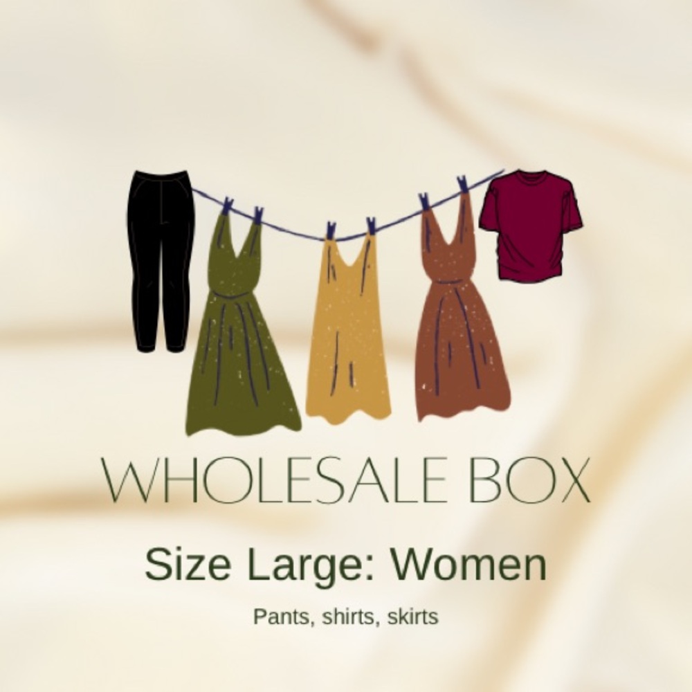 Wholesale Women’s size Large box! 6 items EUC total